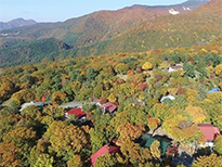 坊平ペンション村